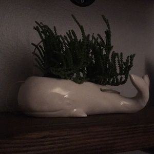 Meet your Posher, Yarrow